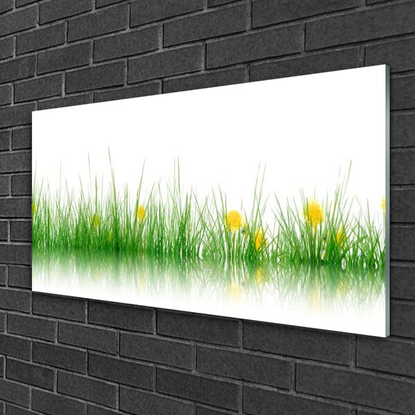 Skleneny obraz Príroda tráva kvety 100x50 cm 2 Prívesky