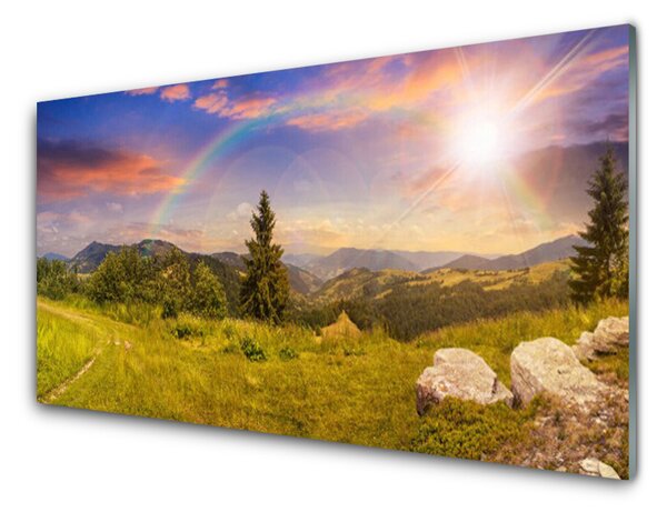 Skleneny obraz Hory lúka kamene príroda 125x50 cm