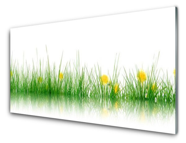 Skleneny obraz Príroda tráva kvety 100x50 cm