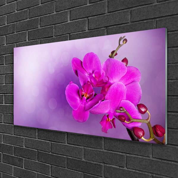 Skleneny obraz Kvety plátky orchidea 100x50 cm 2 Prívesky