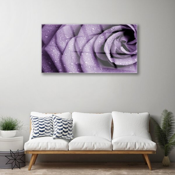 Skleneny obraz Ruže kvet rastlina 100x50 cm 2 Prívesky