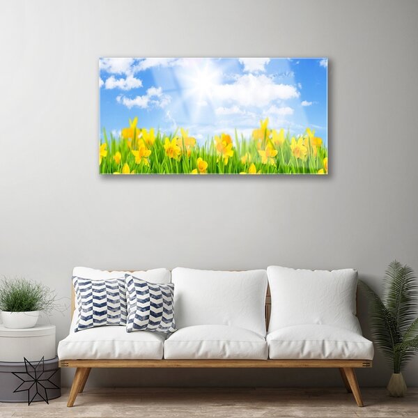 Skleneny obraz Narcisy lúka tráva príroda 100x50 cm 2 Prívesky