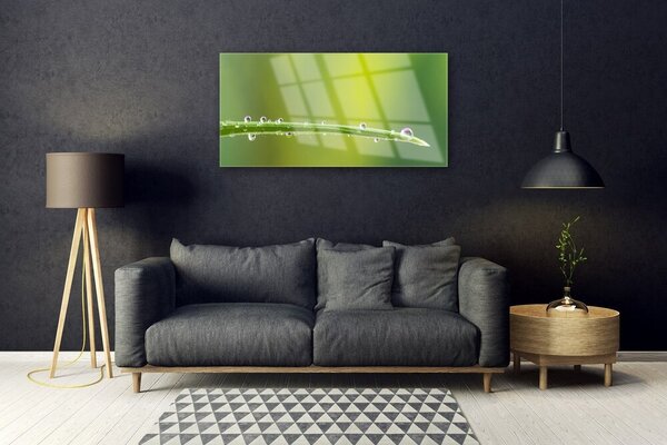 Skleneny obraz Kvapka rosy na tráve 100x50 cm 2 Prívesky