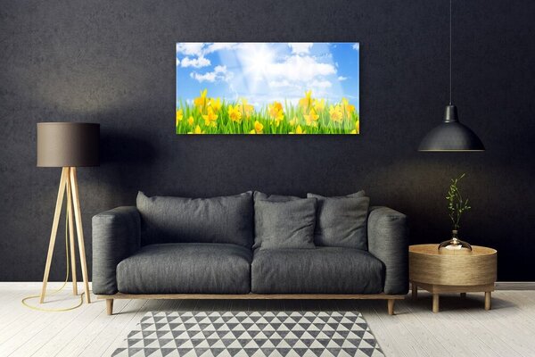 Skleneny obraz Narcisy lúka tráva príroda 100x50 cm 2 Prívesky