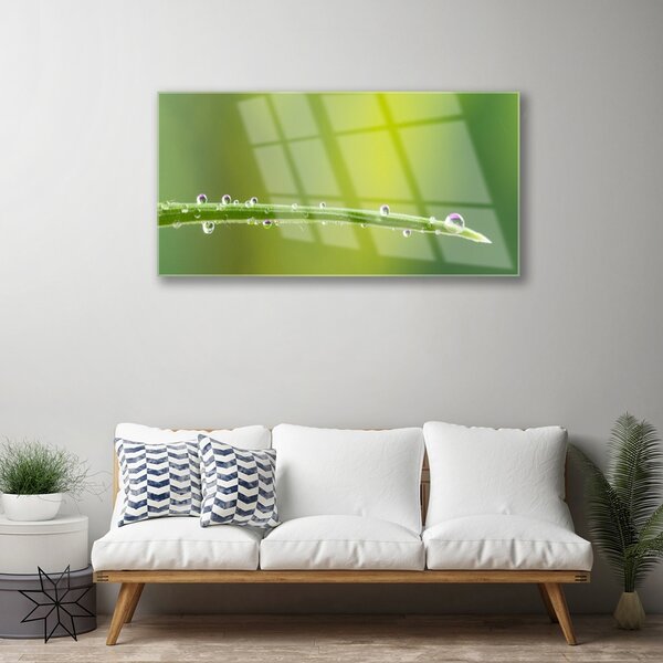 Skleneny obraz Kvapka rosy na tráve 100x50 cm 2 Prívesky