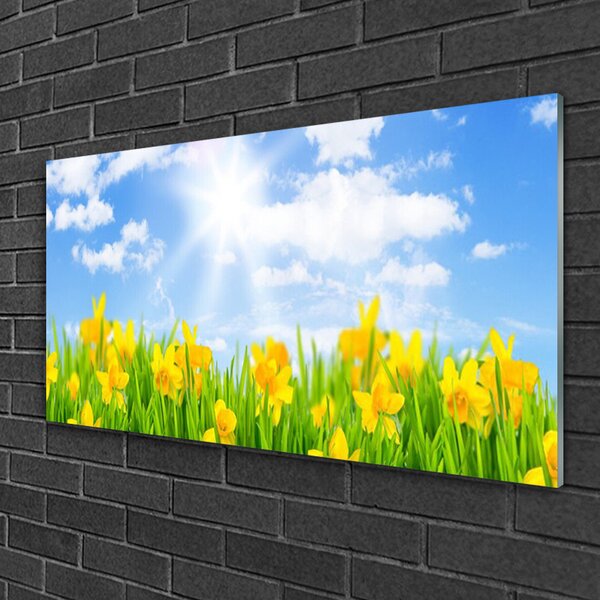 Skleneny obraz Narcisy lúka tráva príroda 100x50 cm 2 Prívesky