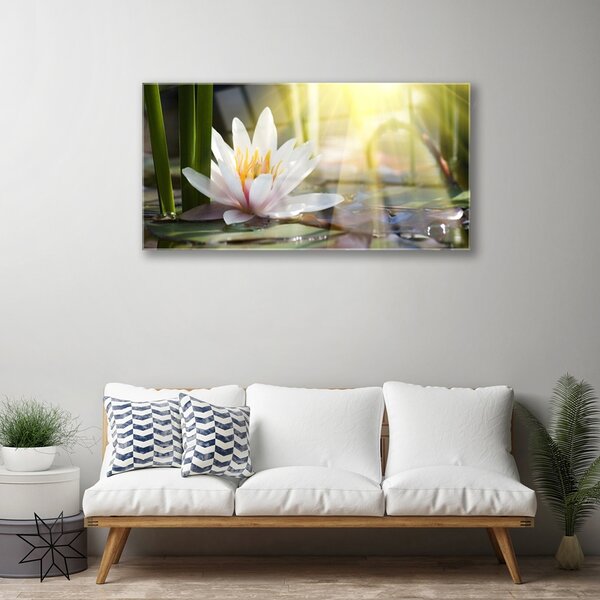 Skleneny obraz Vodné lilie slnko rybník 100x50 cm 2 Prívesky