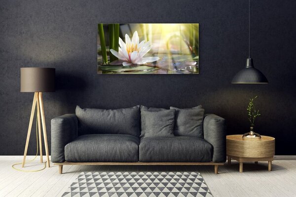 Skleneny obraz Vodné lilie slnko rybník 100x50 cm 2 Prívesky