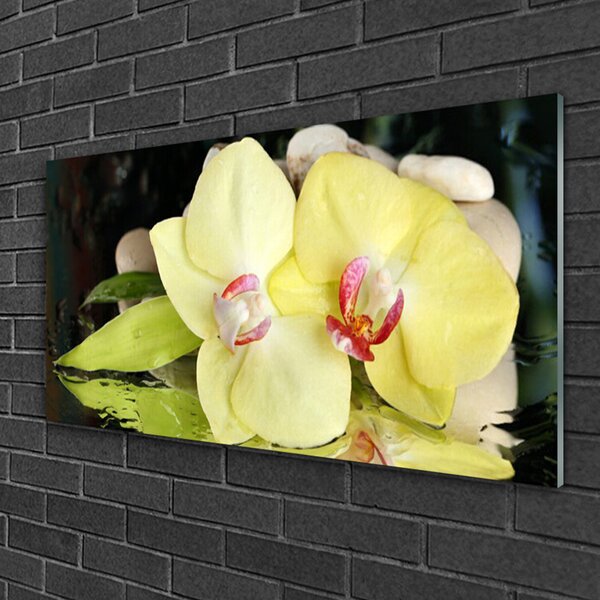 Skleneny obraz Okvetné plátky orchidea 100x50 cm 2 Prívesky