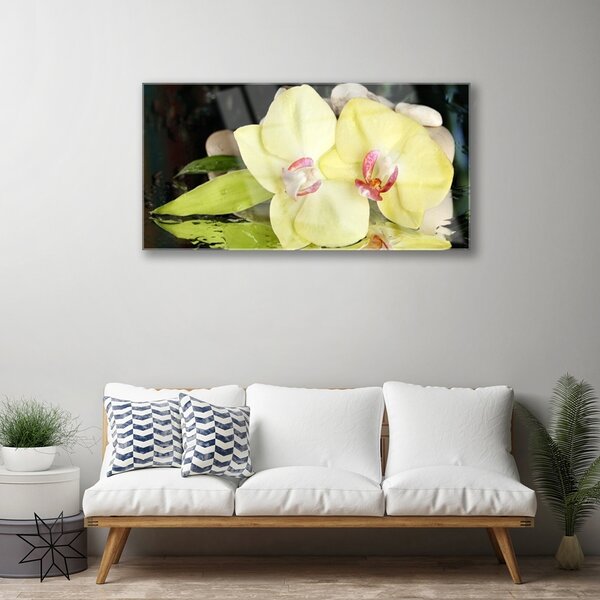 Skleneny obraz Okvetné plátky orchidea 100x50 cm 2 Prívesky