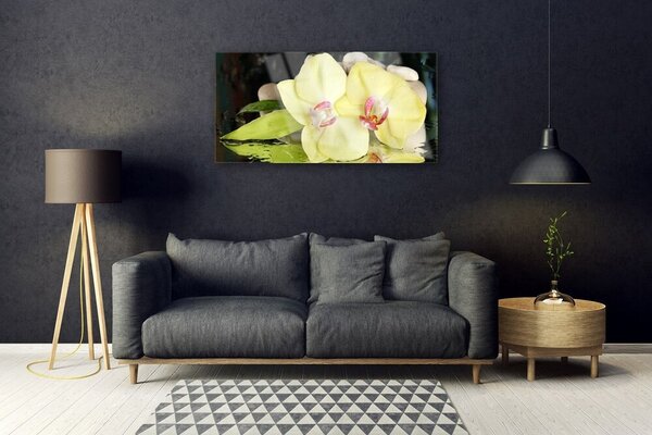 Skleneny obraz Okvetné plátky orchidea 100x50 cm 2 Prívesky