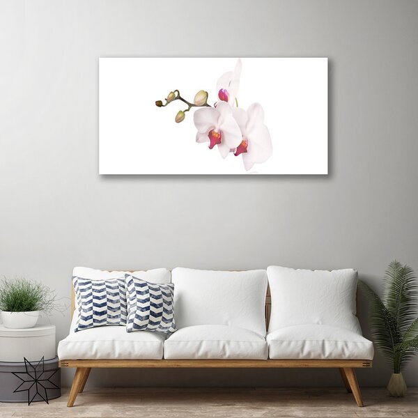 Skleneny obraz Kvety príroda orchidea 100x50 cm 2 Prívesky