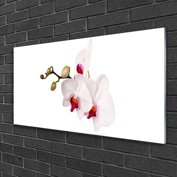 Skleneny obraz Kvety príroda orchidea 100x50 cm 2 Prívesky