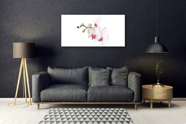 Skleneny obraz Kvety príroda orchidea 100x50 cm 2 Prívesky