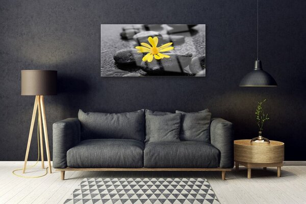 Skleneny obraz Kvet kamene rastlina kúpele 100x50 cm 2 Prívesky