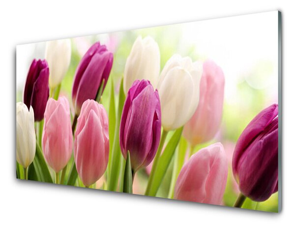 Sklenený obklad Do kuchyne Tulipány kvety príroda lúka 125x50 cm