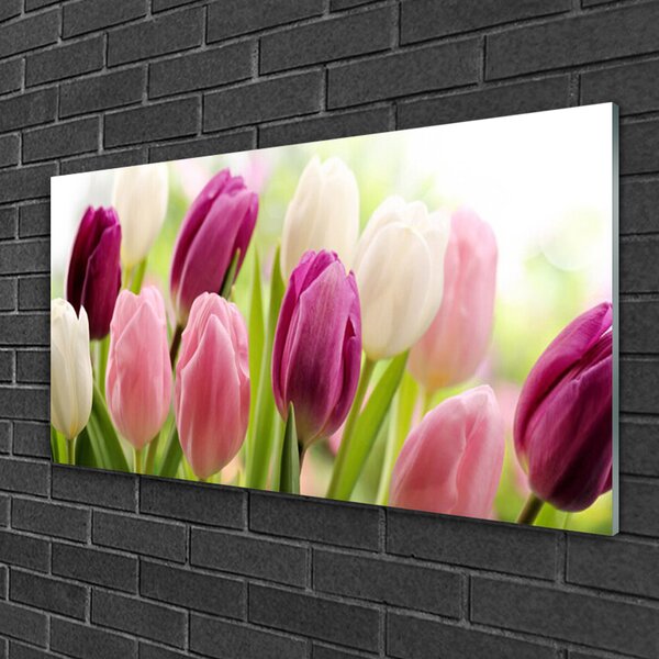 Skleneny obraz Tulipány kvety príroda lúka 100x50 cm 2 Prívesky