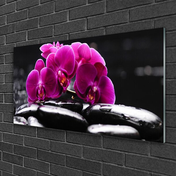 Skleneny obraz Kamene zen orchidea kúpele 100x50 cm 2 Prívesky