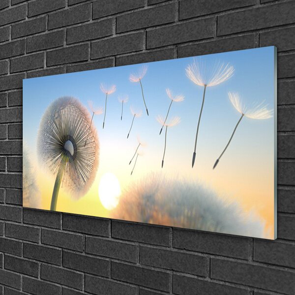 Skleneny obraz Púpava kvety 100x50 cm 2 Prívesky