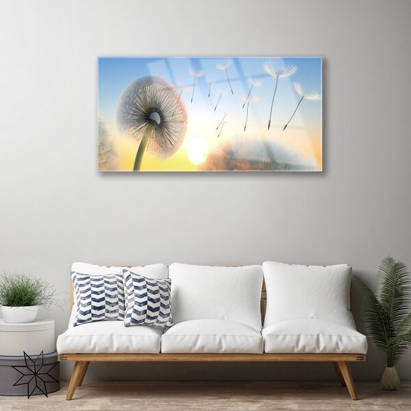 Skleneny obraz Púpava kvety 100x50 cm 2 Prívesky