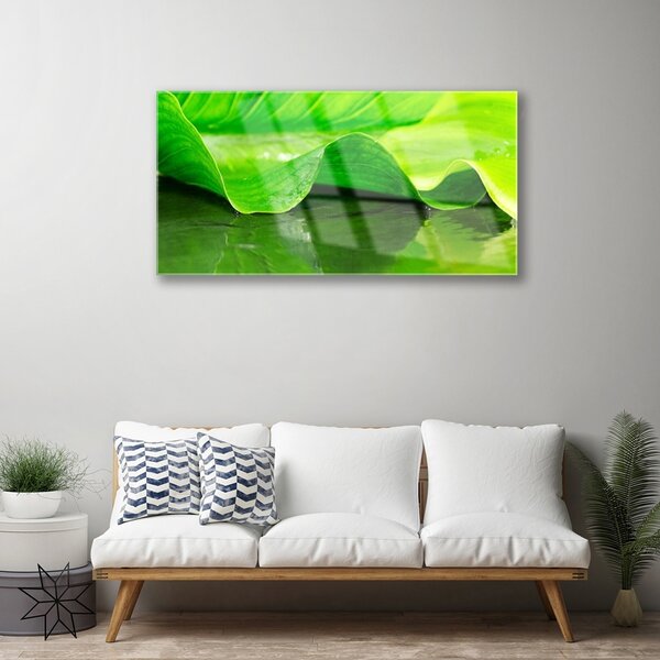 Skleneny obraz List roslina příroda 100x50 cm 2 Prívesky