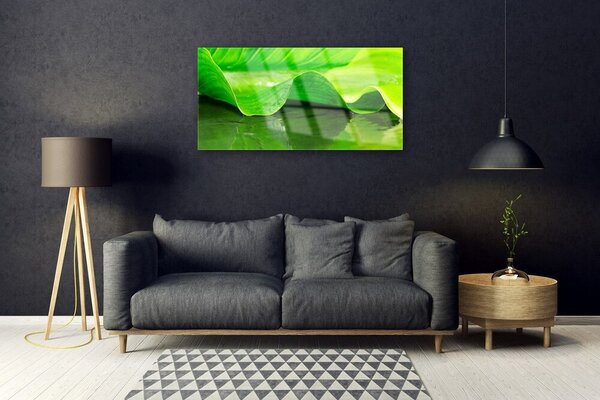 Skleneny obraz List roslina příroda 100x50 cm 2 Prívesky
