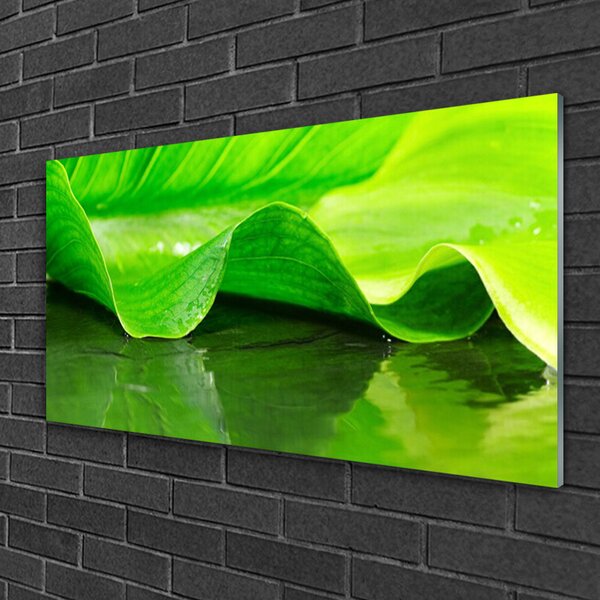 Skleneny obraz List roslina příroda 100x50 cm 2 Prívesky