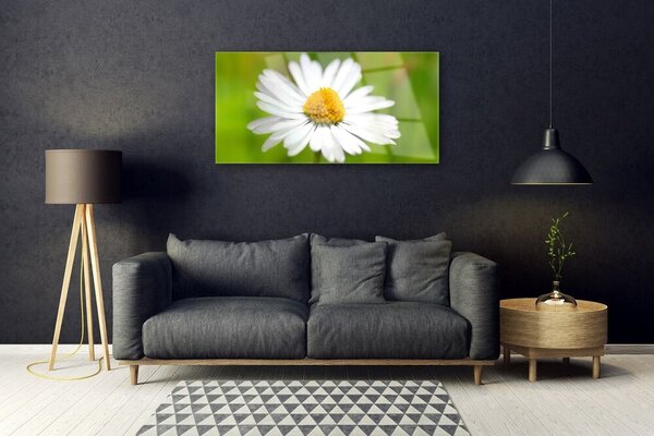 Skleneny obraz Sedmokráska rastlina príroda 100x50 cm 2 Prívesky
