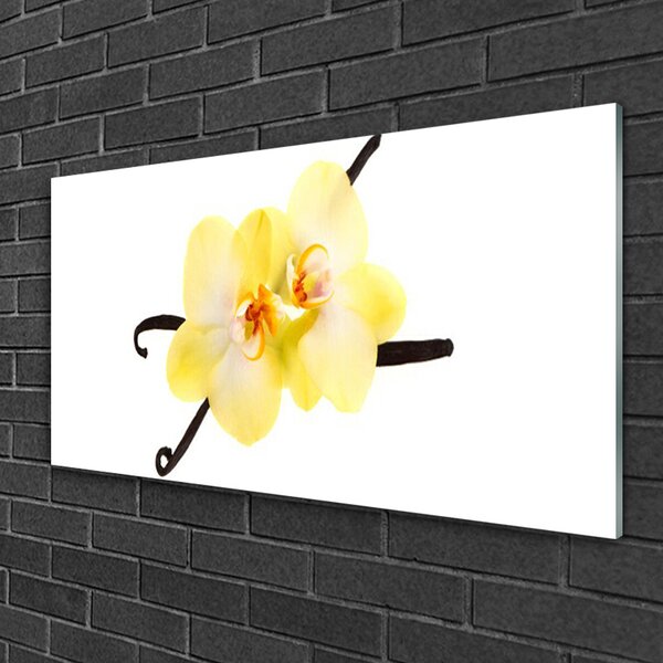 Skleneny obraz Kvety rastlina príroda 100x50 cm 2 Prívesky