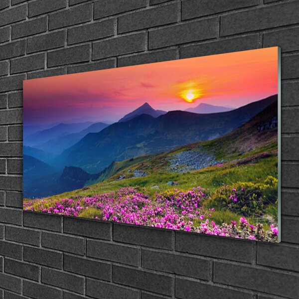 Skleneny obraz Hory lúka kvety príroda 100x50 cm 2 Prívesky