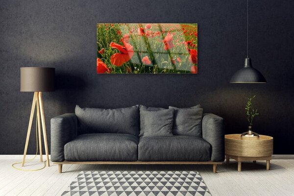 Skleneny obraz Maky rastlina príroda 100x50 cm 2 Prívesky