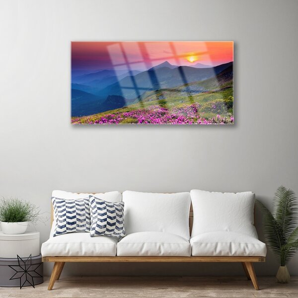 Skleneny obraz Hory lúka kvety príroda 100x50 cm 2 Prívesky