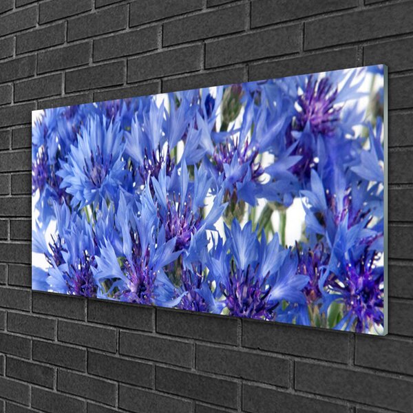 Skleneny obraz Kvety rastlina príroda 100x50 cm 2 Prívesky