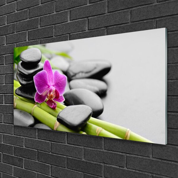 Skleneny obraz Bambus kvet kamene umenie 100x50 cm 2 Prívesky