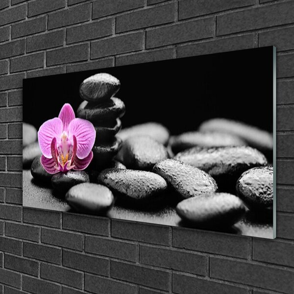 Skleneny obraz Kvet kamene umenie 100x50 cm 2 Prívesky