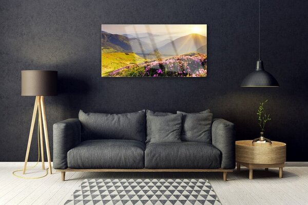 Skleneny obraz Hora lúka krajina 100x50 cm 2 Prívesky
