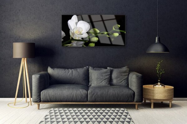 Skleneny obraz Kvet rastlina príroda 100x50 cm 2 Prívesky