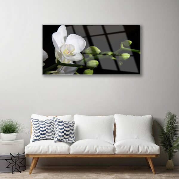 Skleneny obraz Kvet rastlina príroda 100x50 cm 2 Prívesky