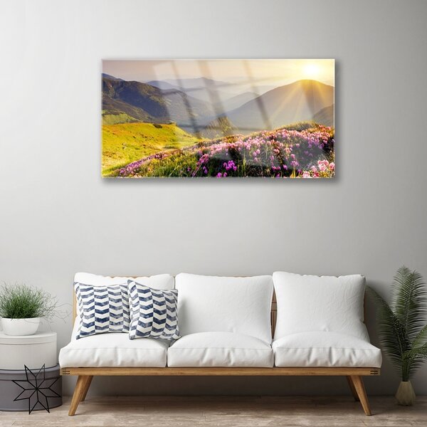 Skleneny obraz Hora lúka krajina 100x50 cm 2 Prívesky