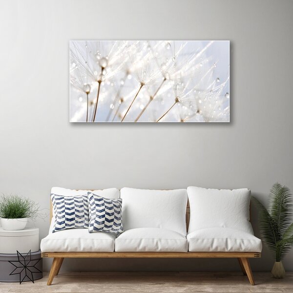 Skleneny obraz Púpava rastlina 100x50 cm 2 Prívesky