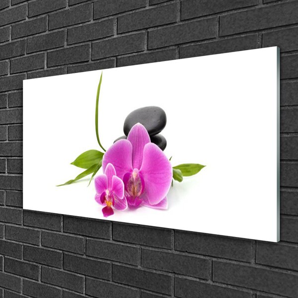 Skleneny obraz Kvet kamene rastlina 100x50 cm 2 Prívesky