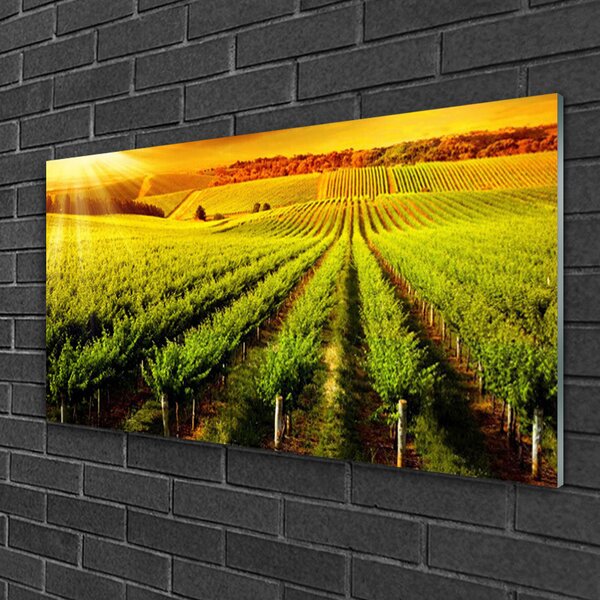 Skleneny obraz Pole príroda 100x50 cm 2 Prívesky