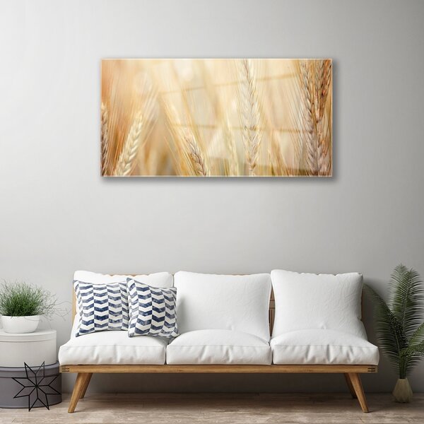 Skleneny obraz Pšenica rastlina príroda 100x50 cm 2 Prívesky