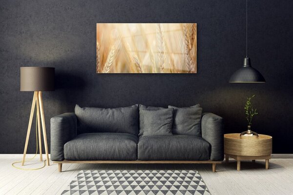 Skleneny obraz Pšenica rastlina príroda 100x50 cm 2 Prívesky