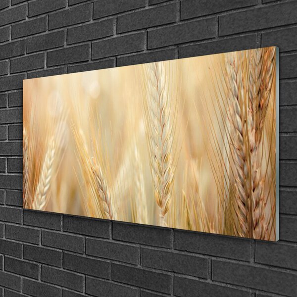 Skleneny obraz Pšenica rastlina príroda 100x50 cm 2 Prívesky