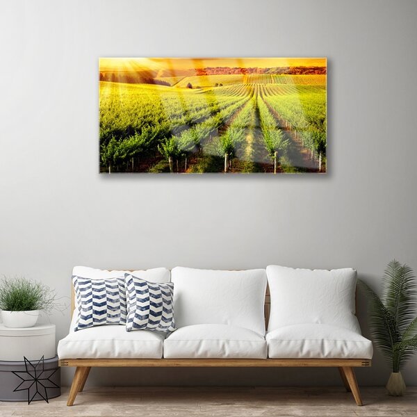 Skleneny obraz Pole príroda 100x50 cm 2 Prívesky