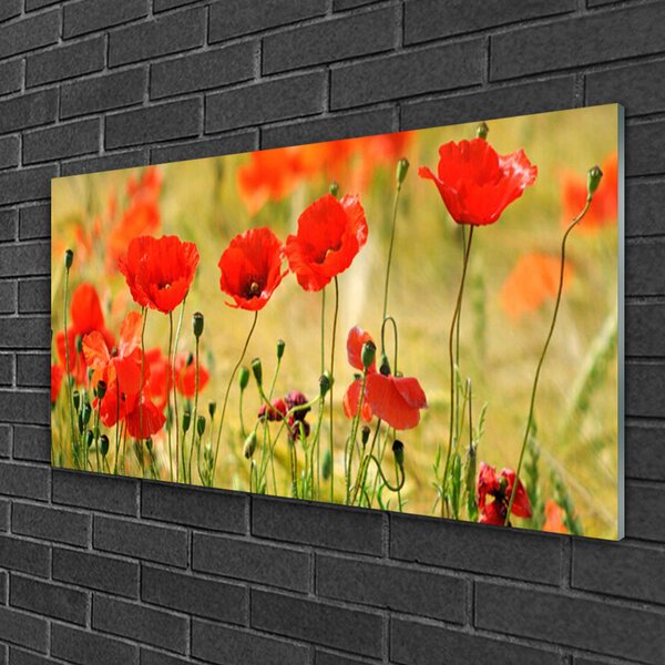 Skleneny obraz Maky rastlina príroda 100x50 cm 2 Prívesky