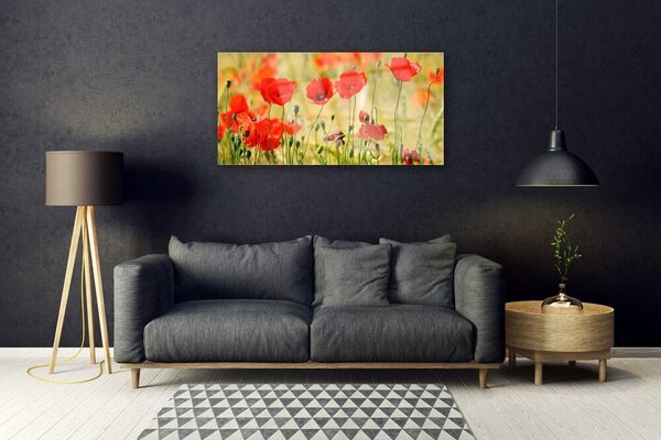 Skleneny obraz Maky rastlina príroda 100x50 cm 2 Prívesky