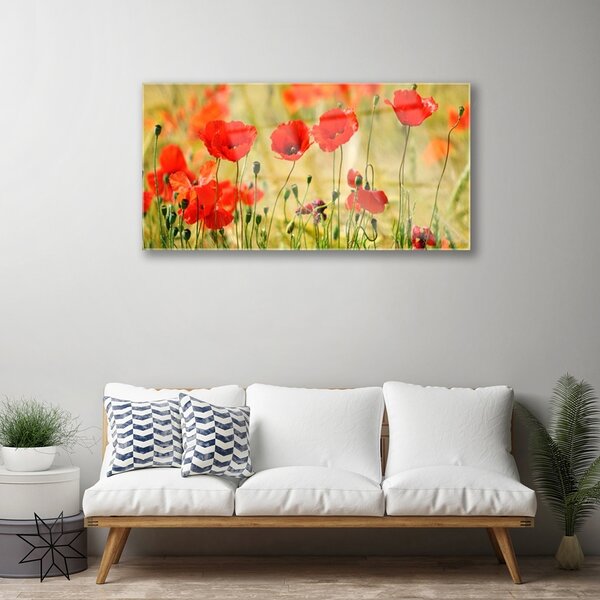 Skleneny obraz Maky rastlina príroda 100x50 cm 2 Prívesky