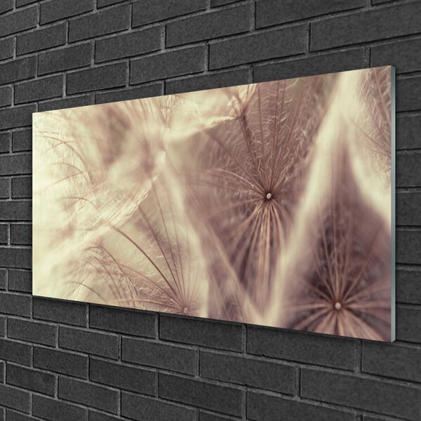 Skleneny obraz Púpava rastlina 100x50 cm 2 Prívesky
